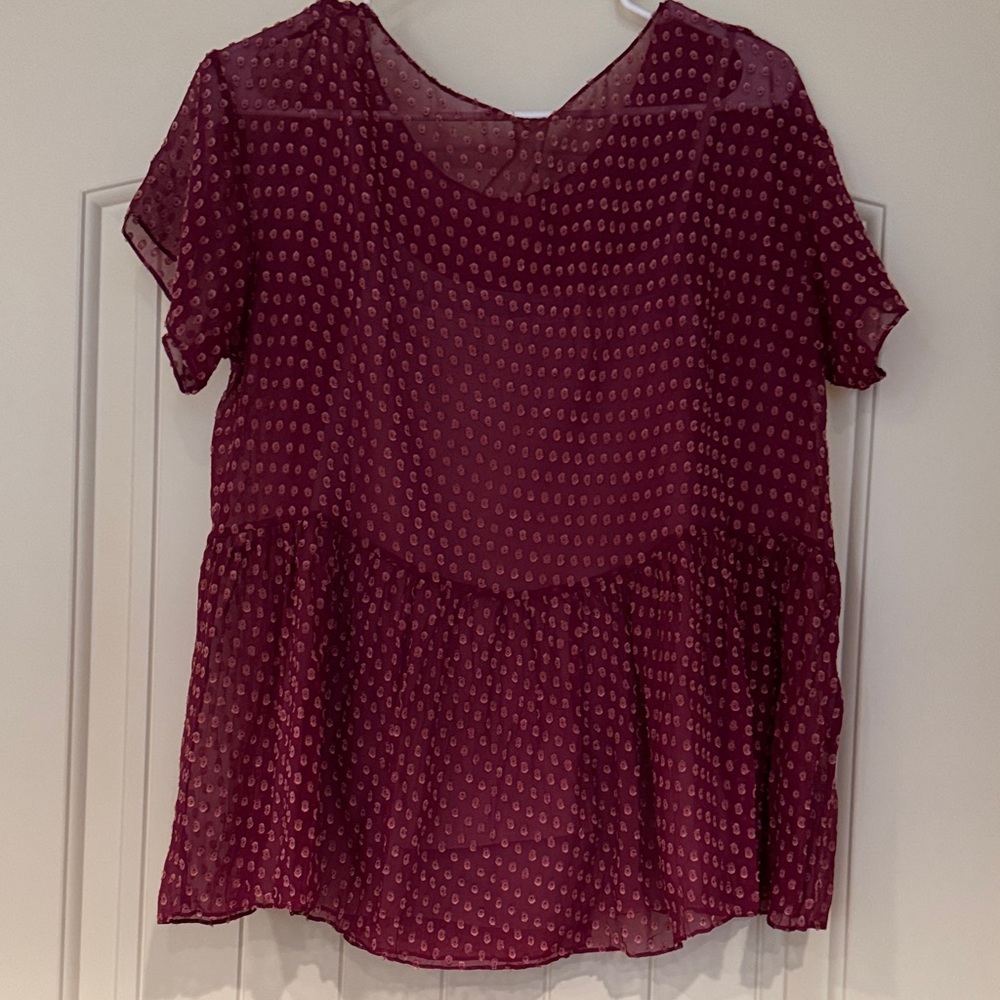 Aratta Deep Burgundy Sheer Blouse - Picture 5 of 5